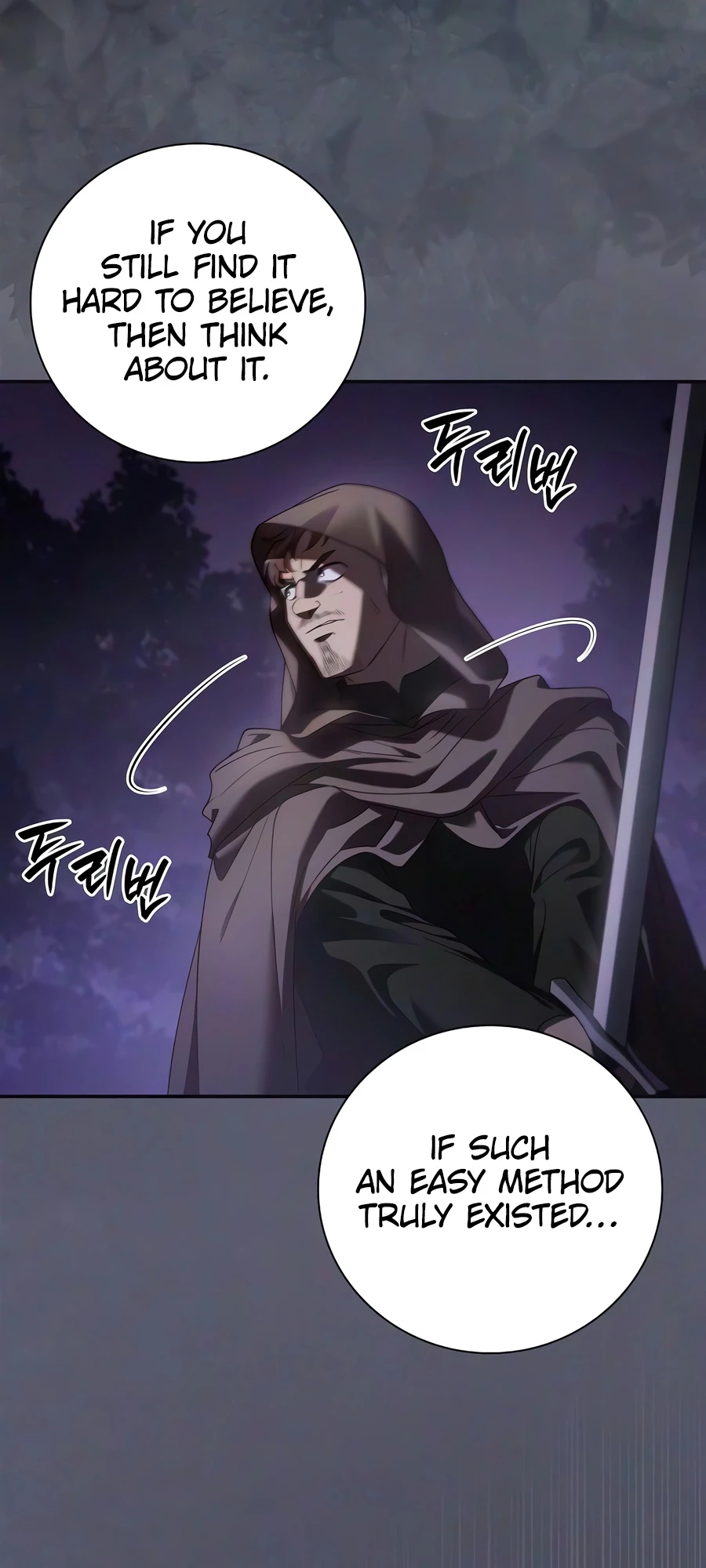 Read A Mercenary S Rebirth Among Nobles EN Manga Online