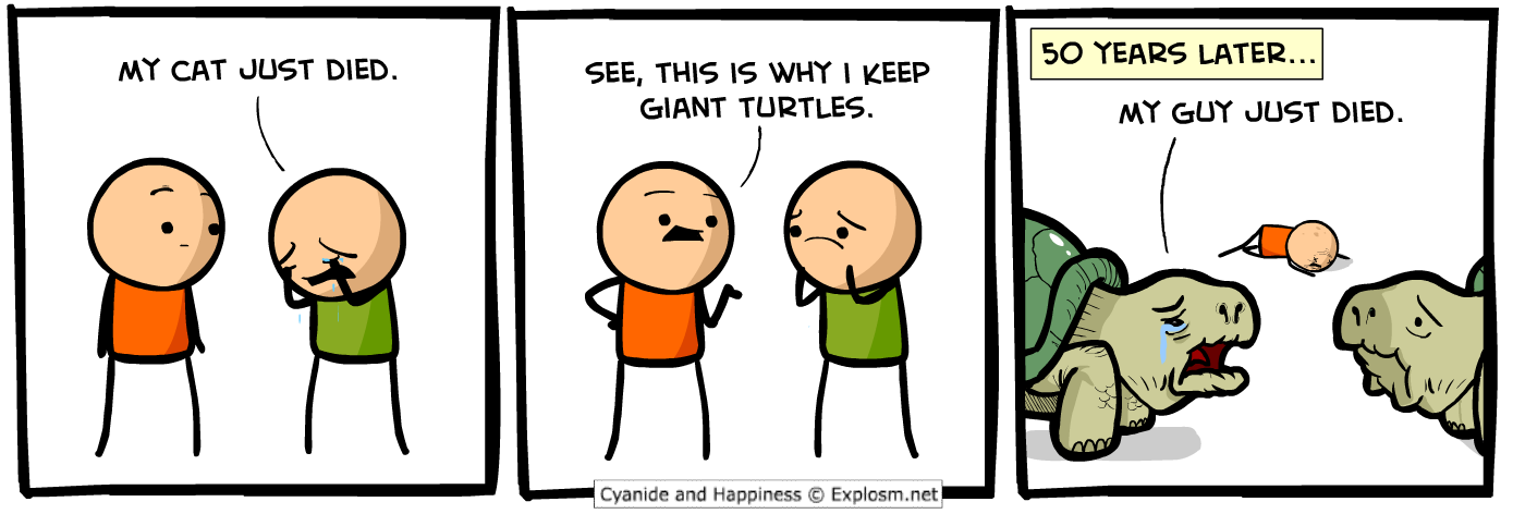 Read C&H 2022 EN Manga Online