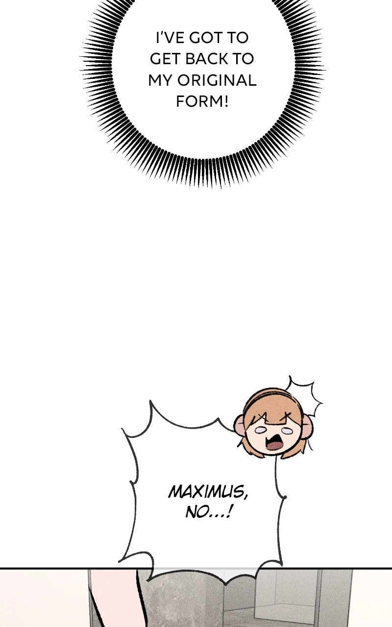 Read Devilish Son-In-Law EN Manga Online