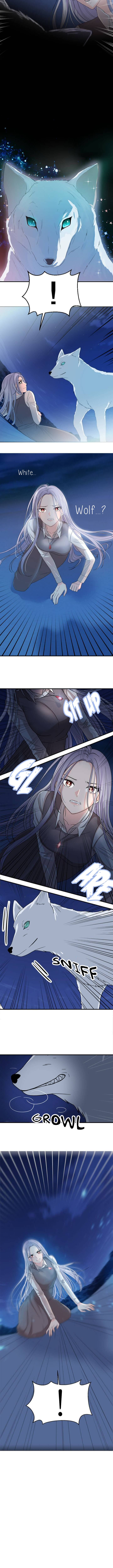 Read Evil Knight EN Manga Online