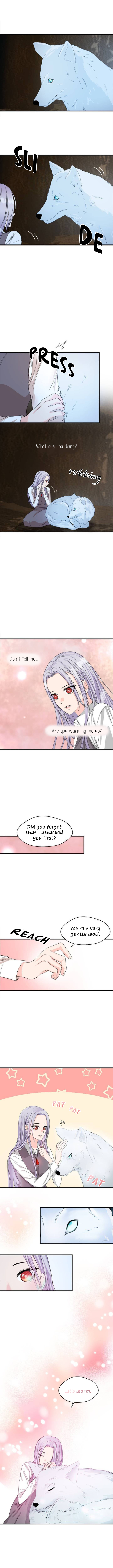 Read Evil Knight EN Manga Online