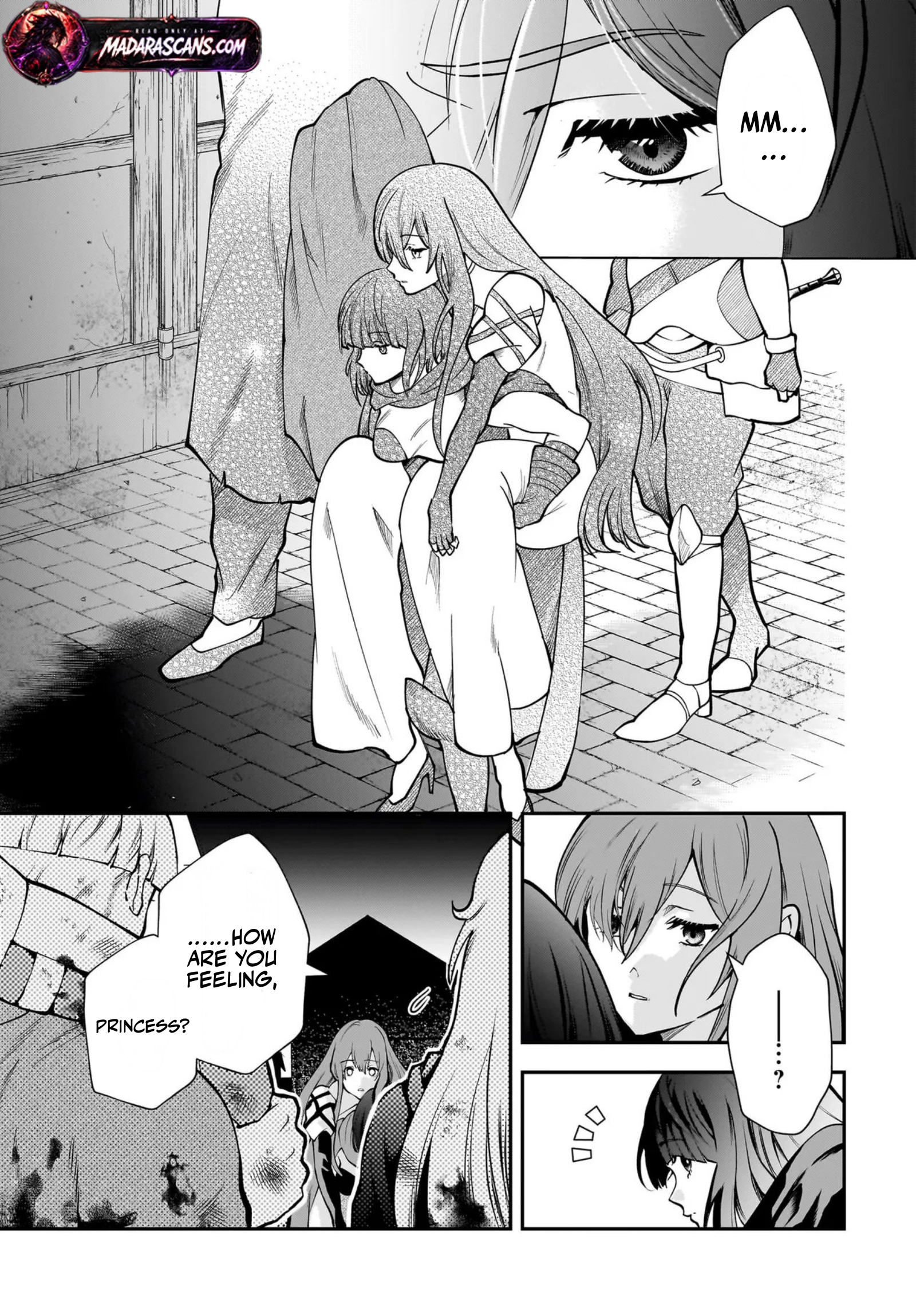 Read Himekishi-sama no Himo EN Manga Online