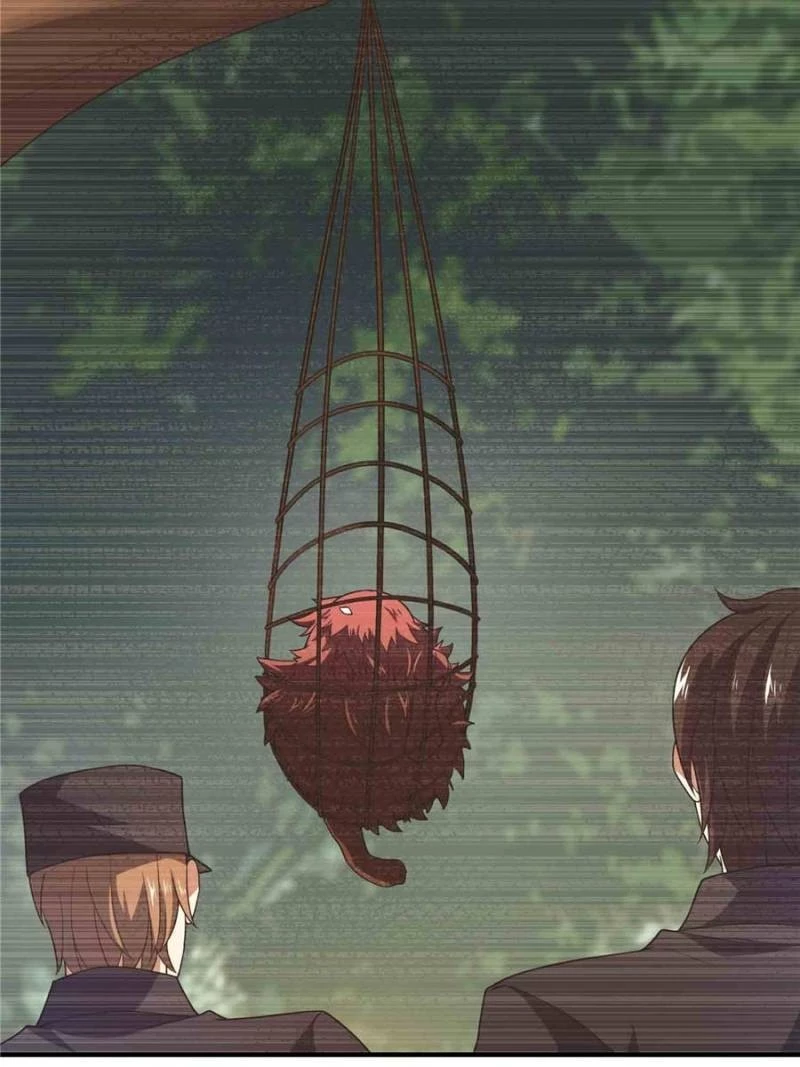 Read Monster Pet Evolution EN Manga Online