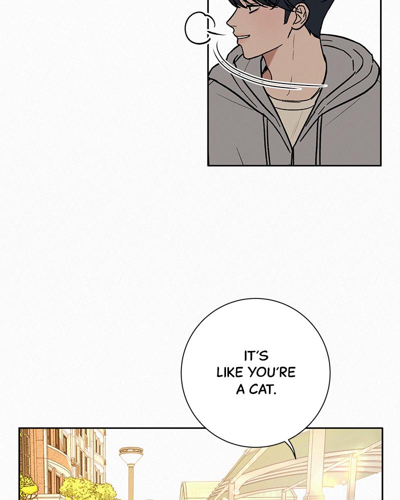 Read Operation True Love EN Manga Online