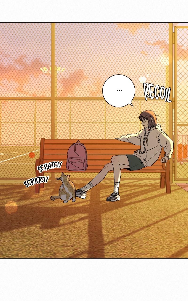 Read Operation True Love EN Manga Online