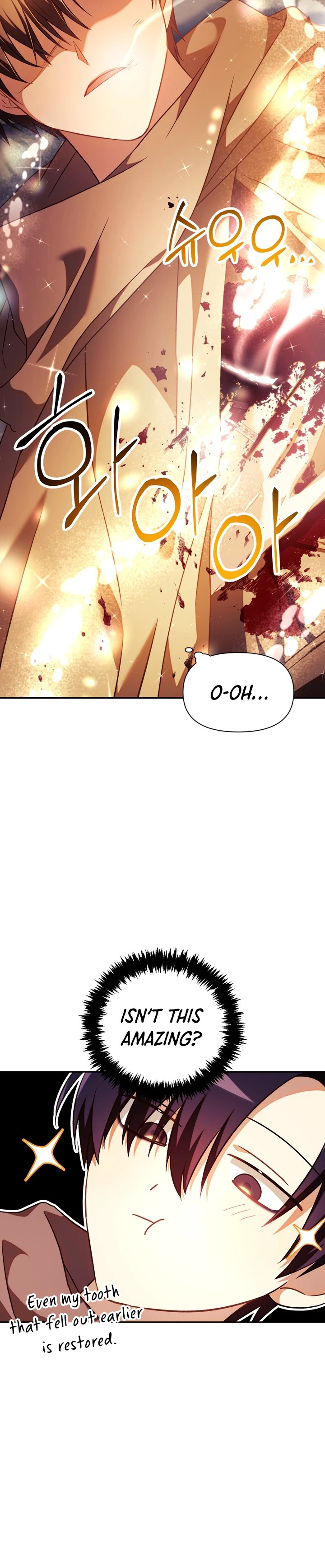 Read Regressor Instruction Manual EN Manga Online