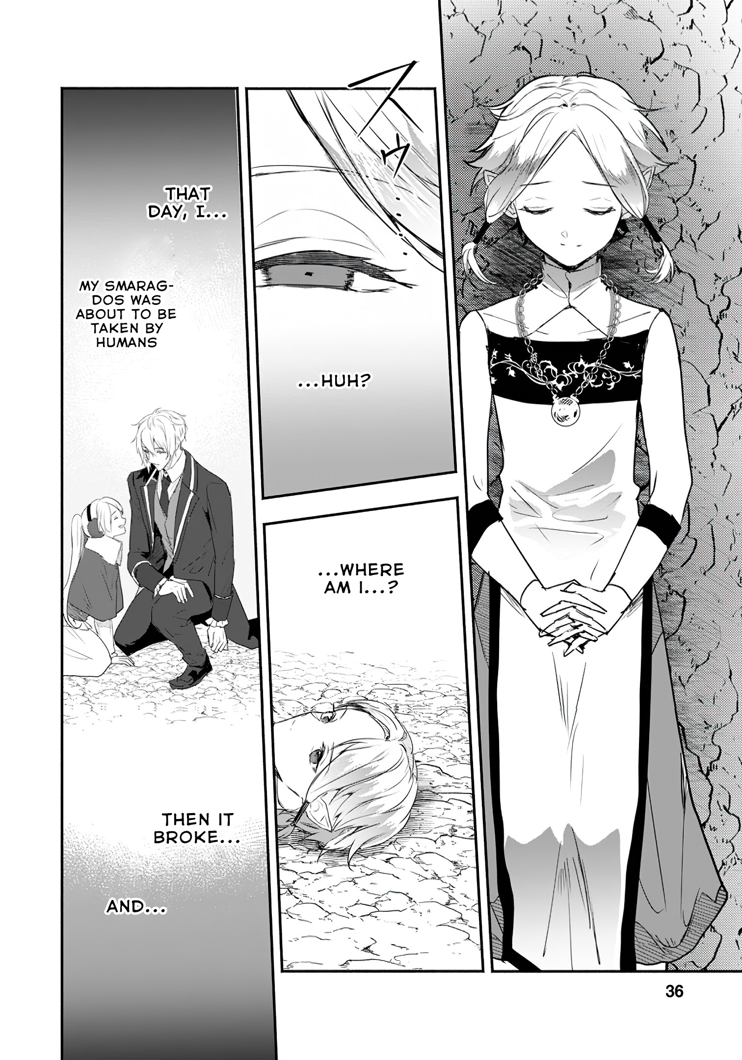 Read The Daughter Of The Marquis Who Was Executed Under False Accusation Wants To Spend A Peaceful Life In The Land Protected By God EN Manga Online