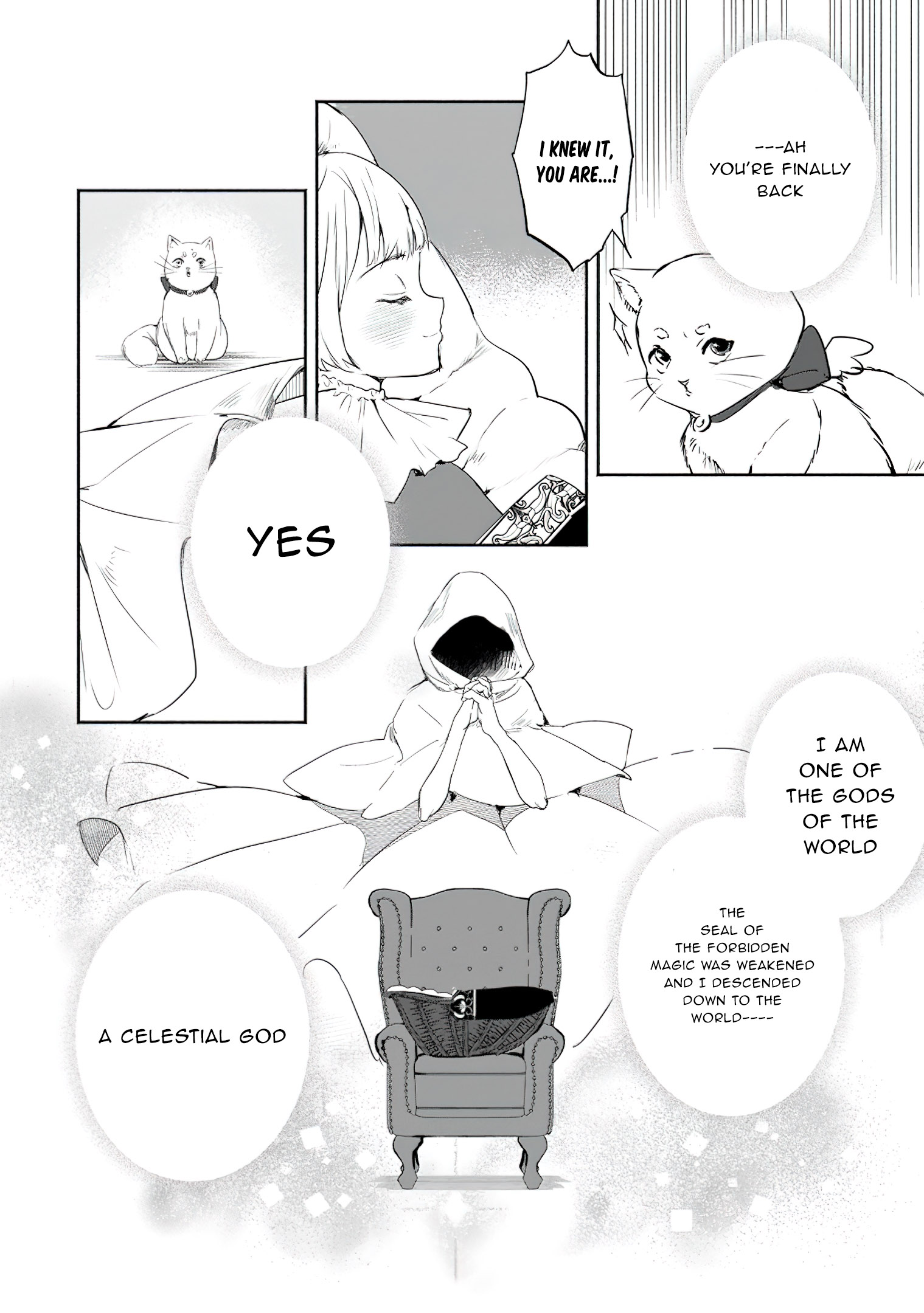 Read The Daughter Of The Marquis Who Was Executed Under False Accusation Wants To Spend A Peaceful Life In The Land Protected By God EN Manga Online