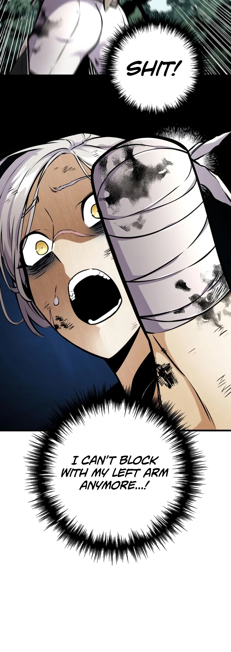 Read The Wandering Knight S Survival Manual EN Manga Online