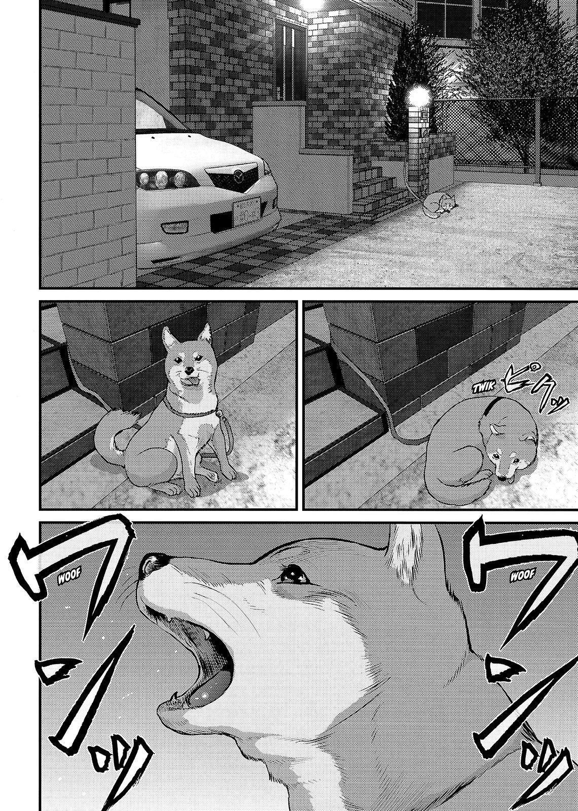 Read Inuyashiki ES Manga Online