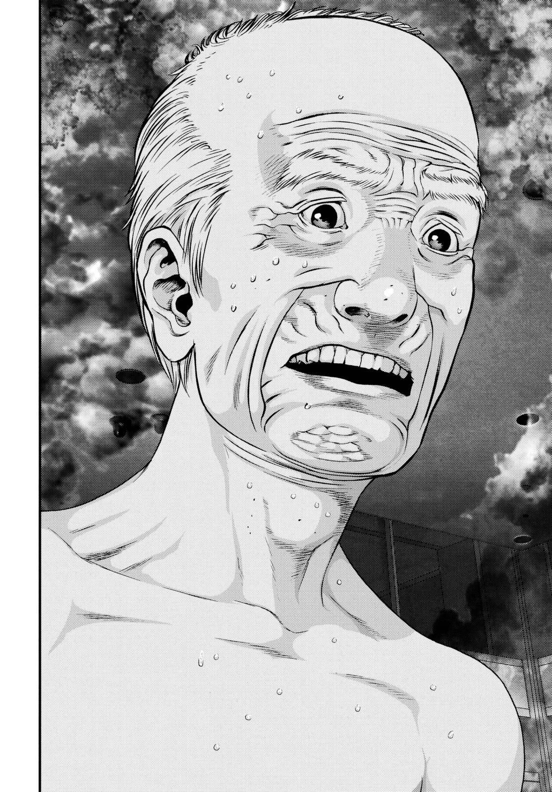 Read Inuyashiki ES Manga Online