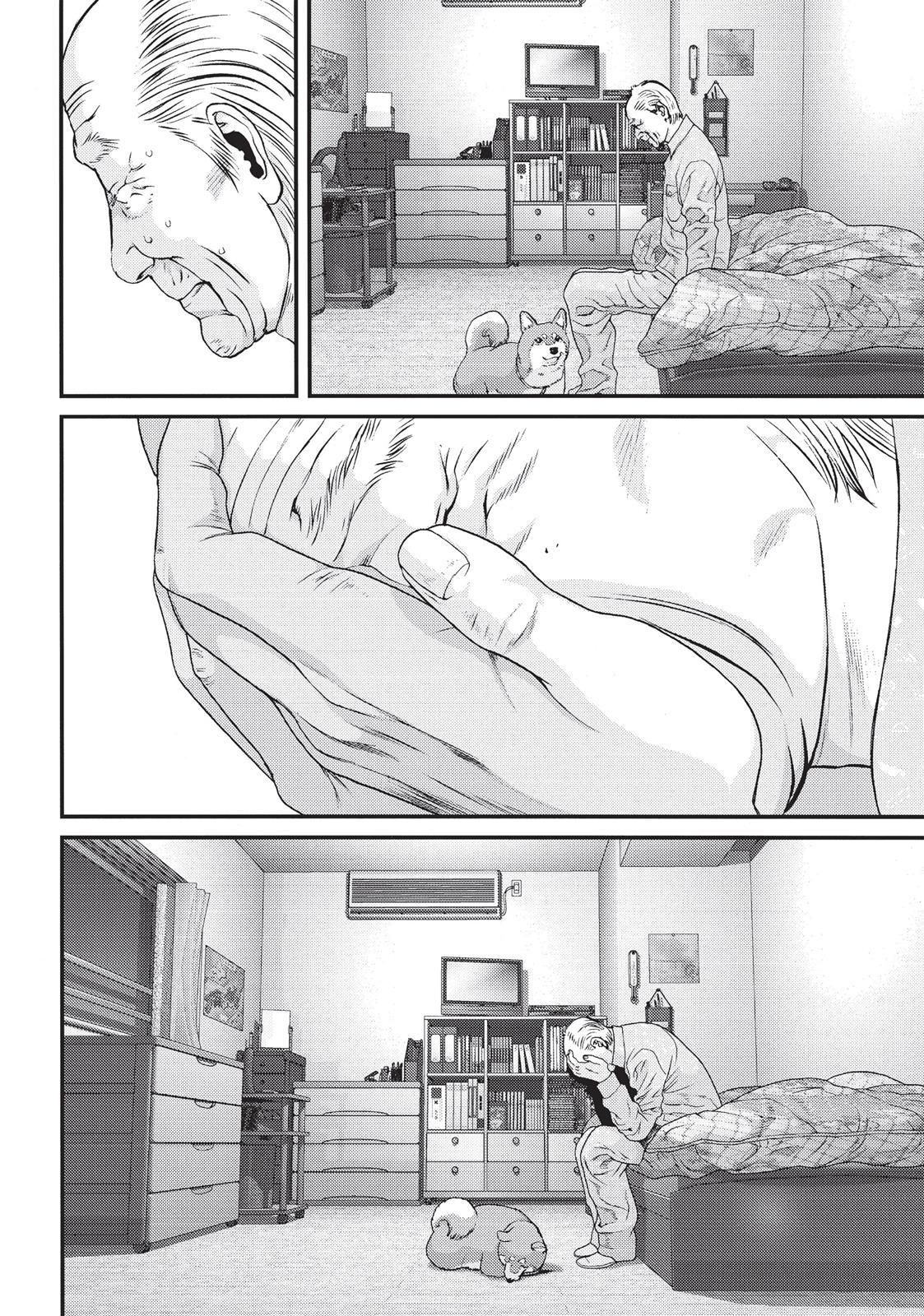 Read Inuyashiki ES Manga Online