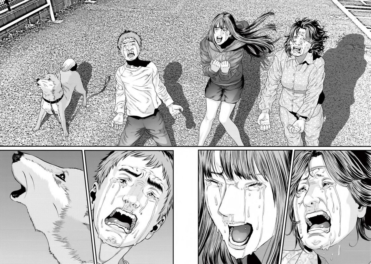Read Inuyashiki ES Manga Online