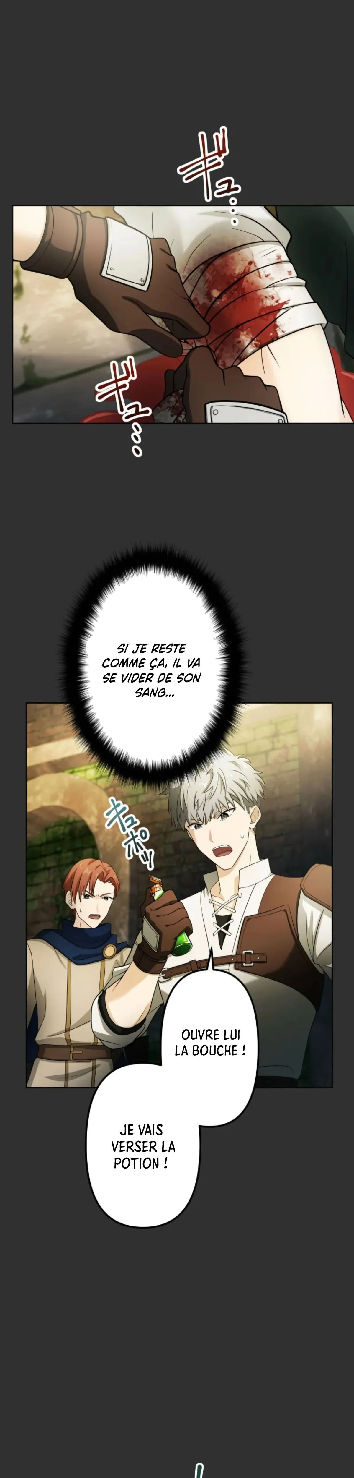 Read Ash the Gray FR Manga Online