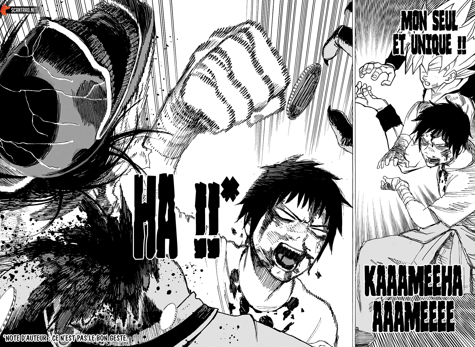 Read Ayashimon FR Manga Online