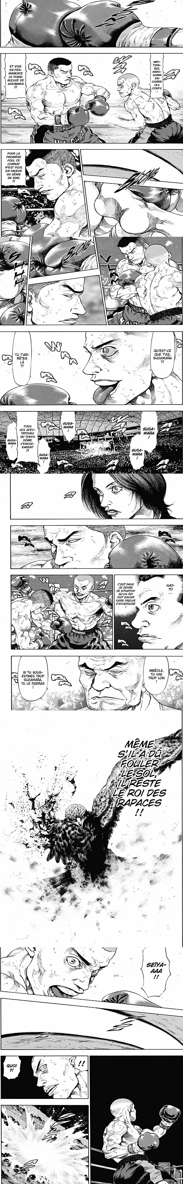 Read Coq de Combat FR Manga Online