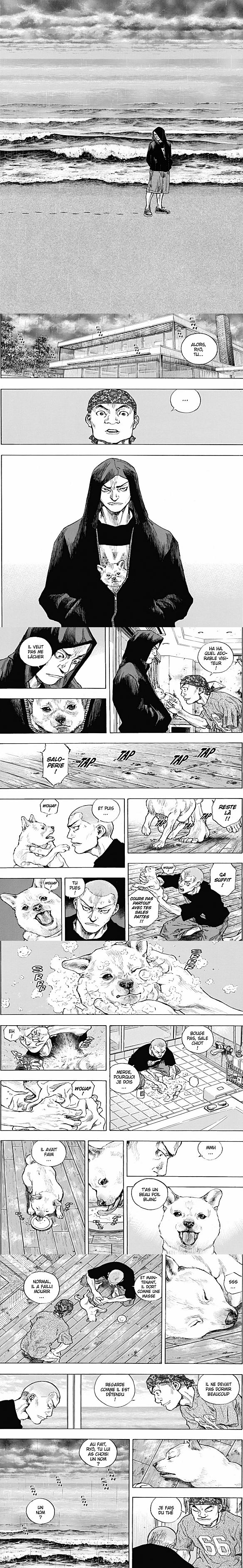 Read Coq de Combat FR Manga Online