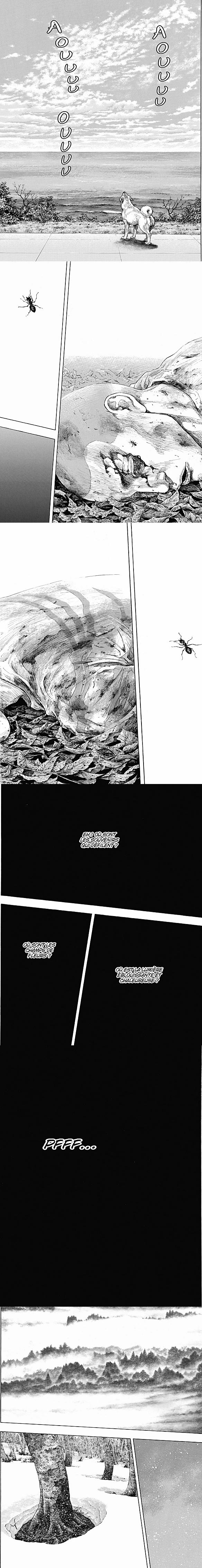 Read Coq de Combat FR Manga Online