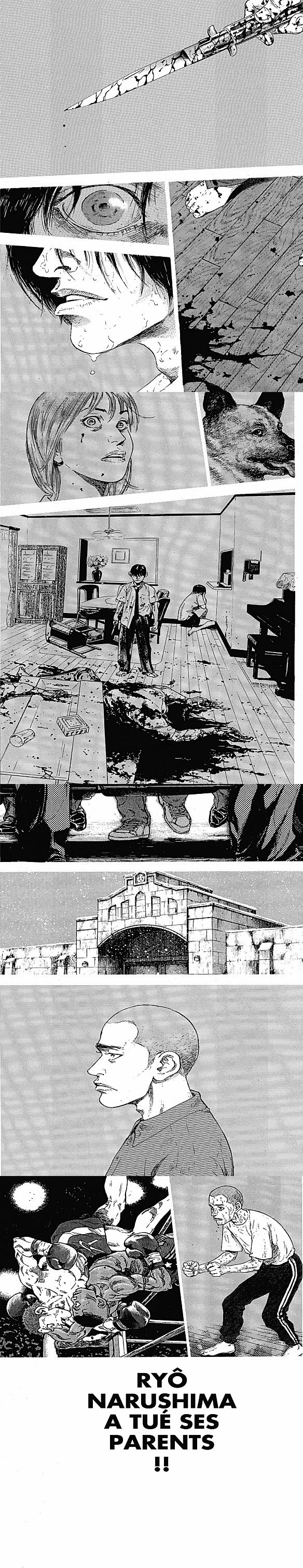 Read Coq de Combat FR Manga Online