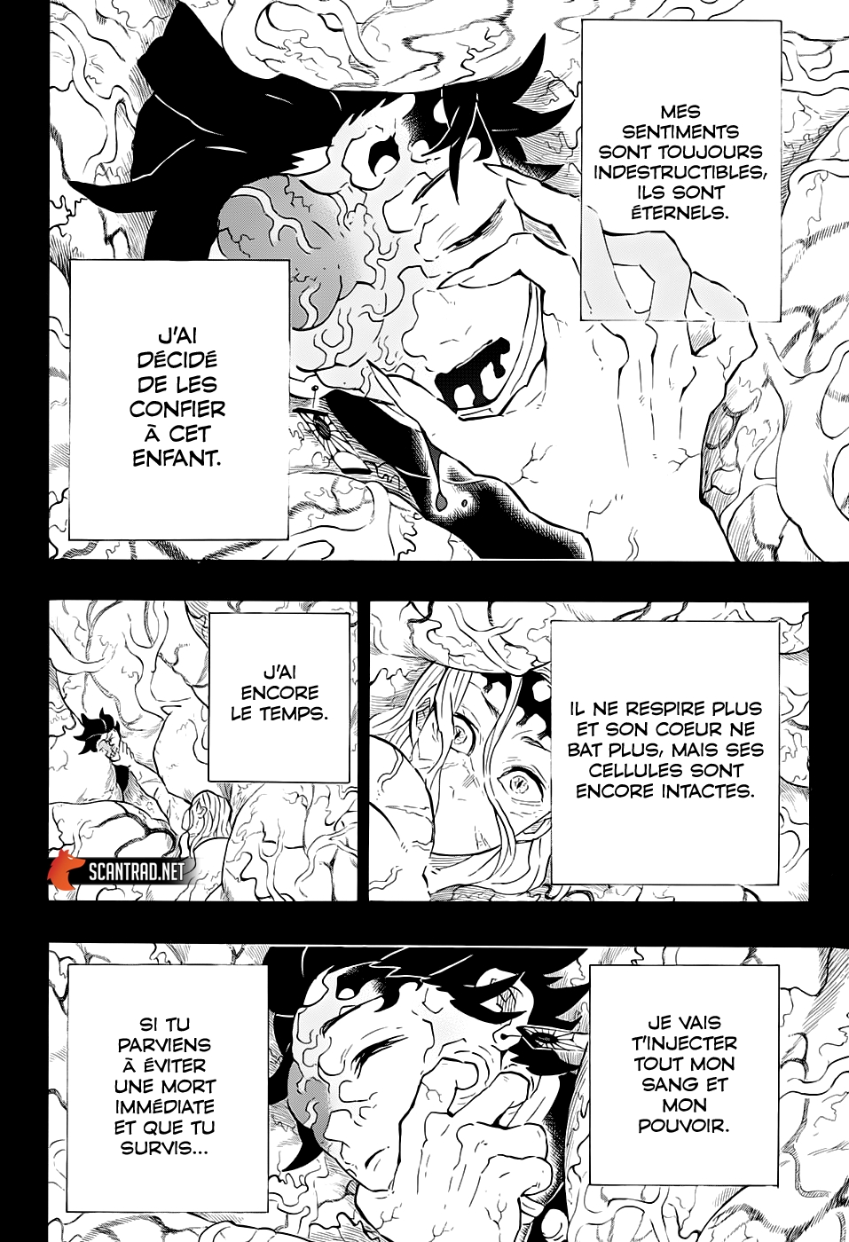 Read Demon Slayer FR Manga Online