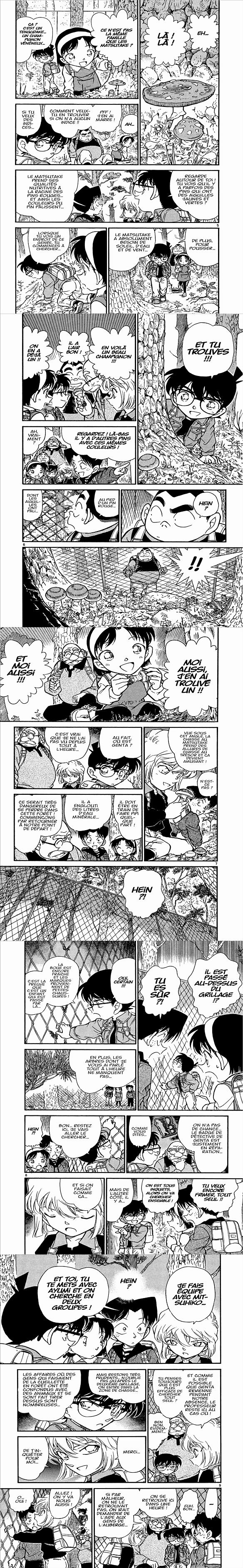 Read Detective Conan FR Manga Online