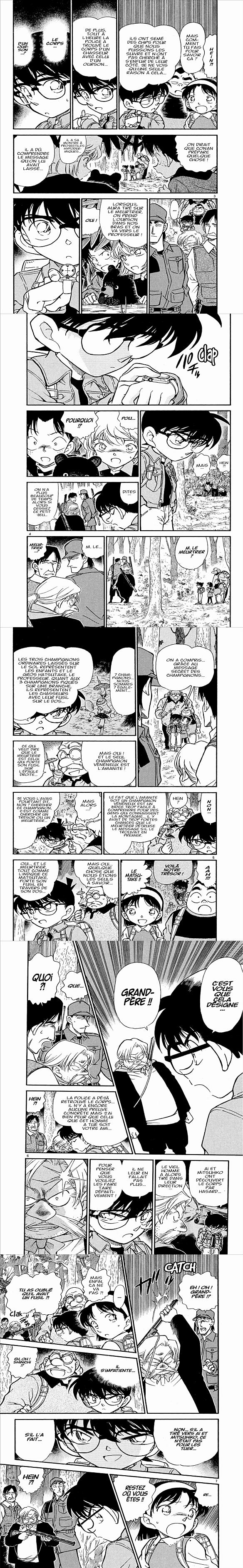 Read Detective Conan FR Manga Online