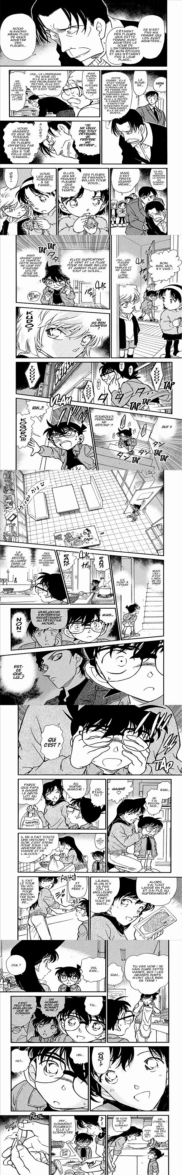 Read Detective Conan FR Manga Online