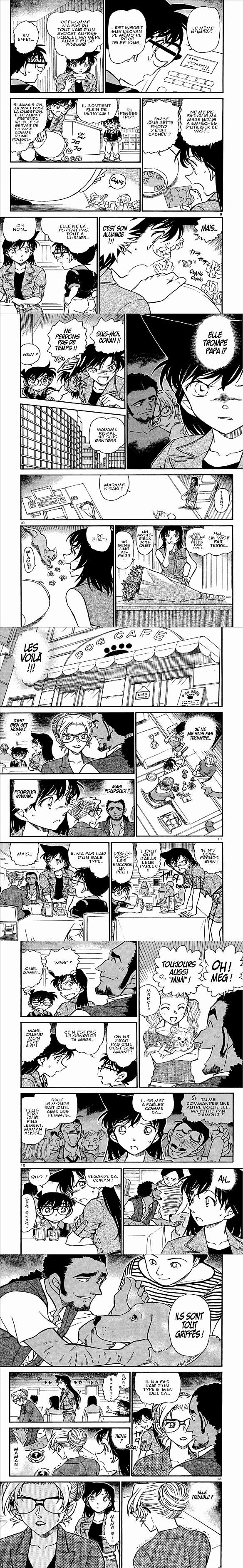 Read Detective Conan FR Manga Online