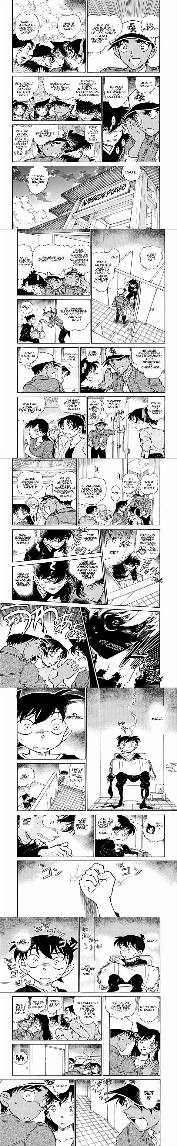 Read Detective Conan FR Manga Online