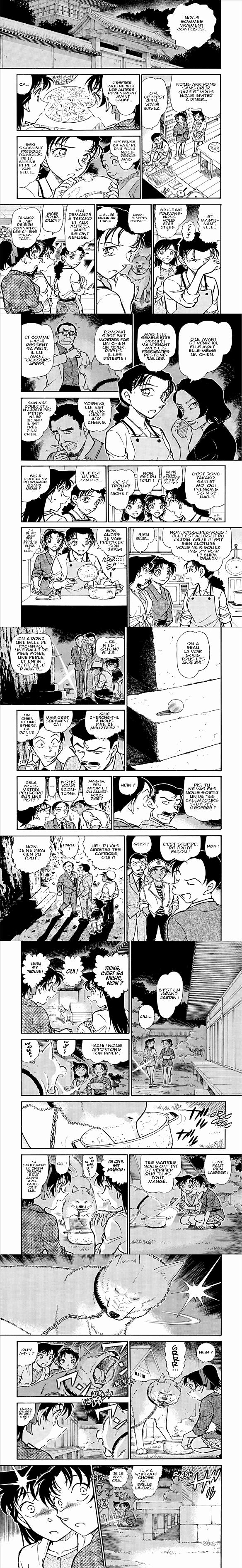Read Detective Conan FR Manga Online