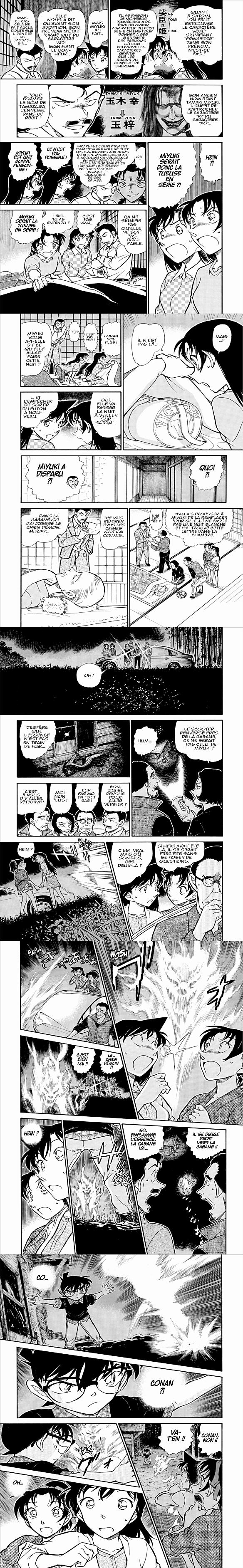 Read Detective Conan FR Manga Online
