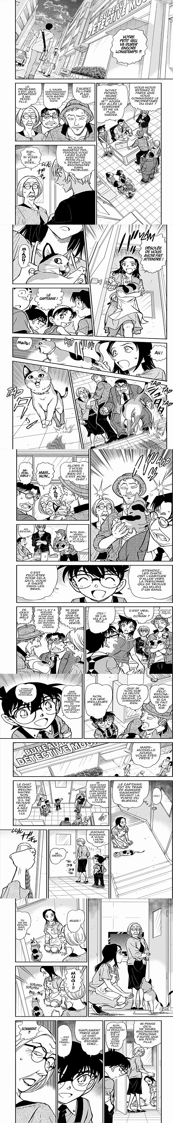 Read Detective Conan FR Manga Online