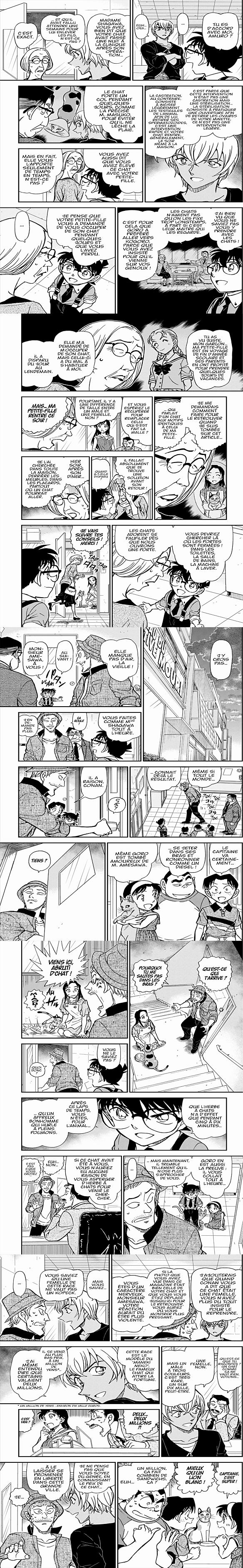 Read Detective Conan FR Manga Online