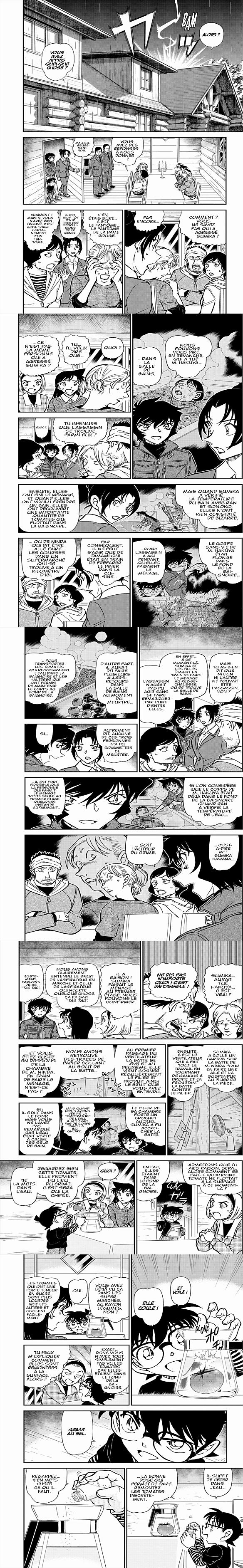 Read Detective Conan FR Manga Online