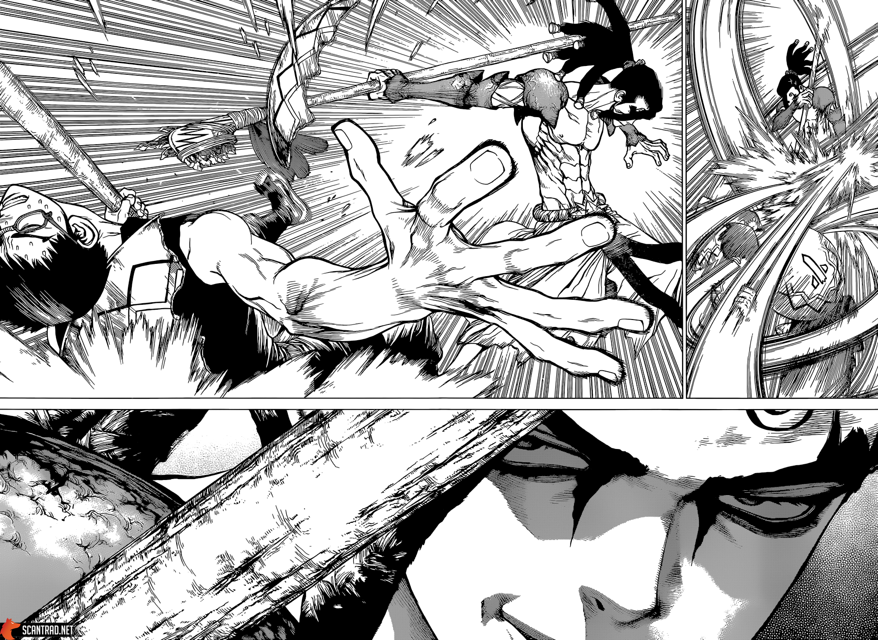 Read Dr. Stone FR Manga Online