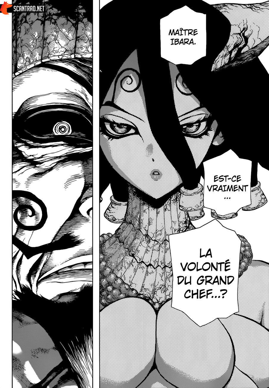 Read Dr. Stone FR Manga Online