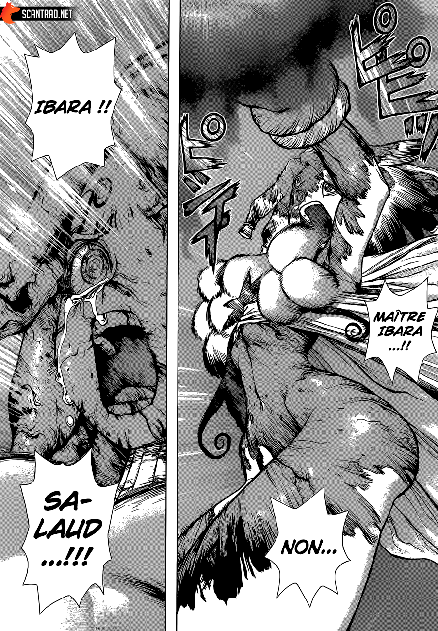 Read Dr. Stone FR Manga Online