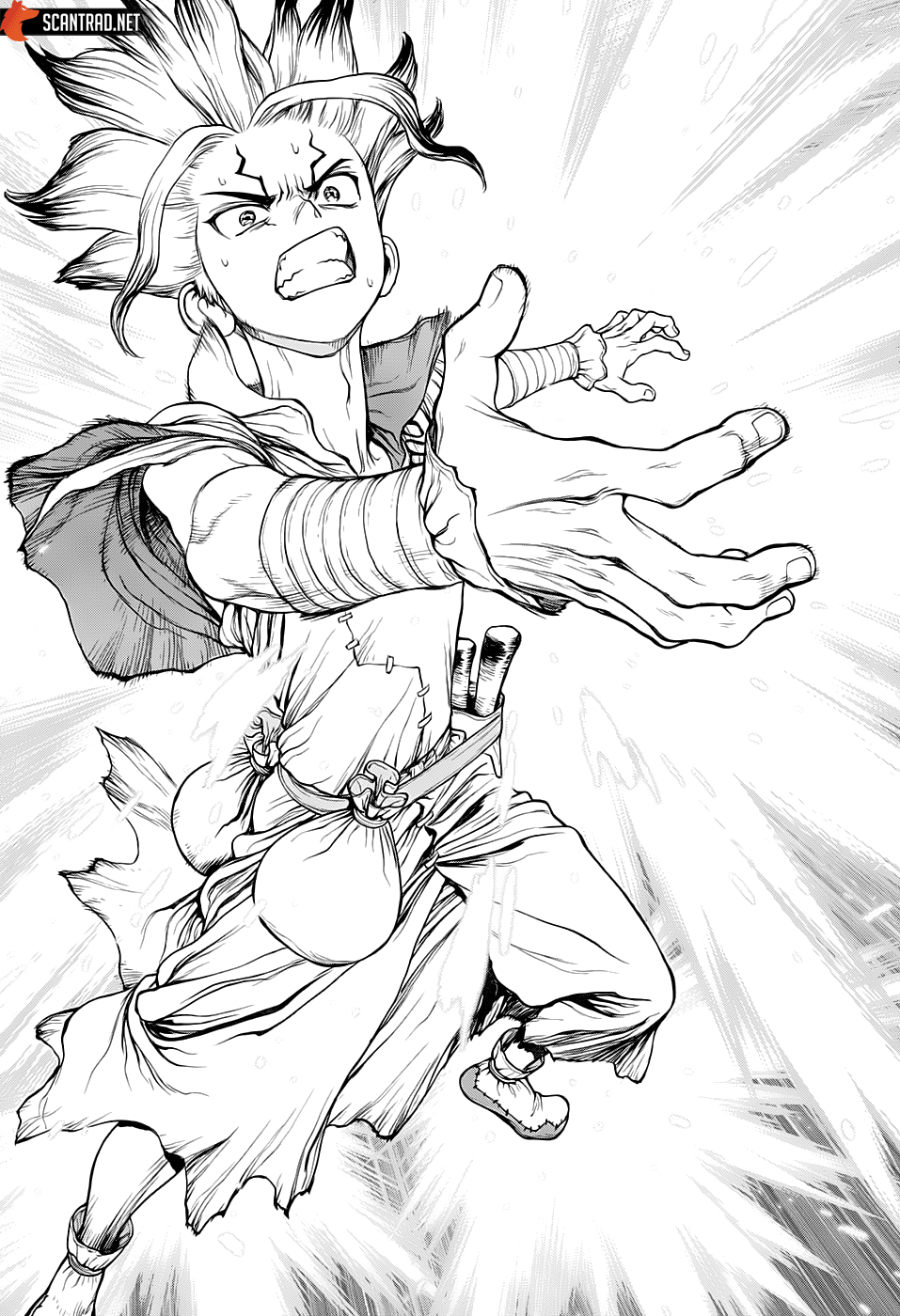 Read Dr. Stone FR Manga Online