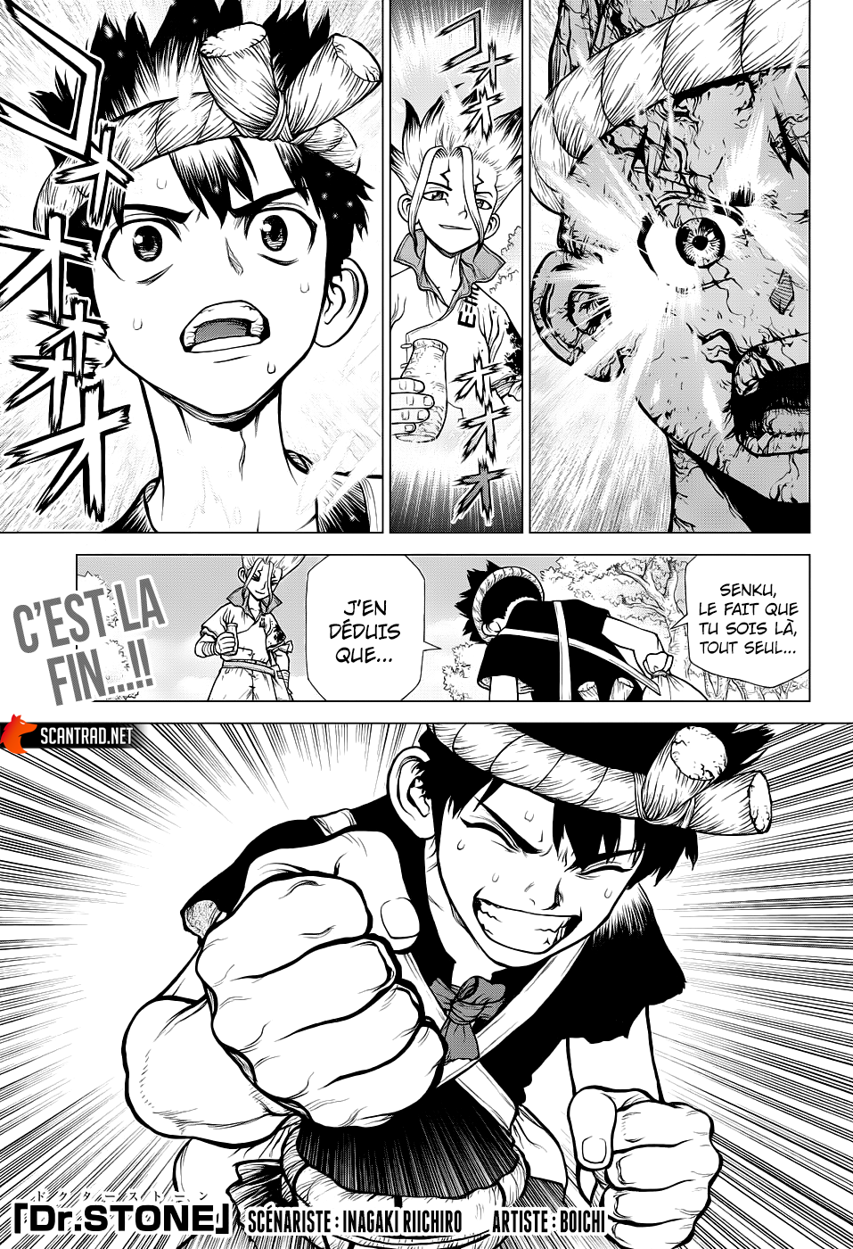 Read Dr. Stone FR Manga Online