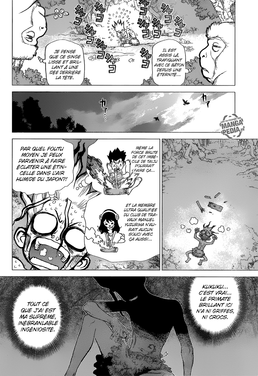 Read Dr. Stone FR Manga Online