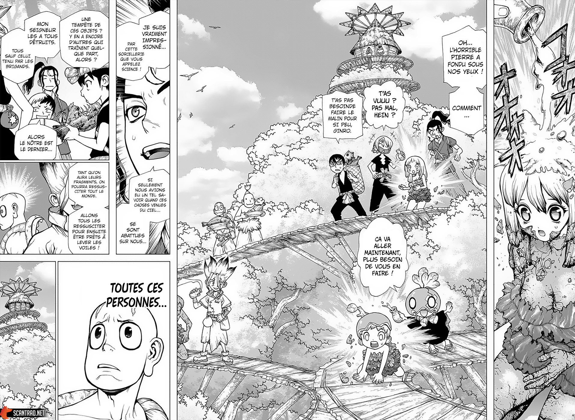 Read Dr. Stone FR Manga Online