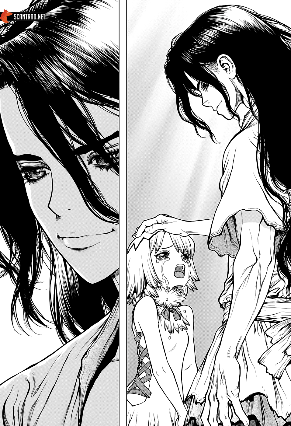 Read Dr. Stone FR Manga Online