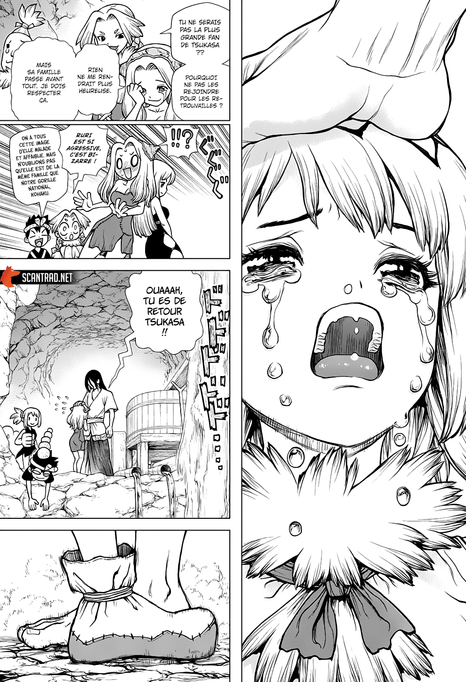 Read Dr. Stone FR Manga Online