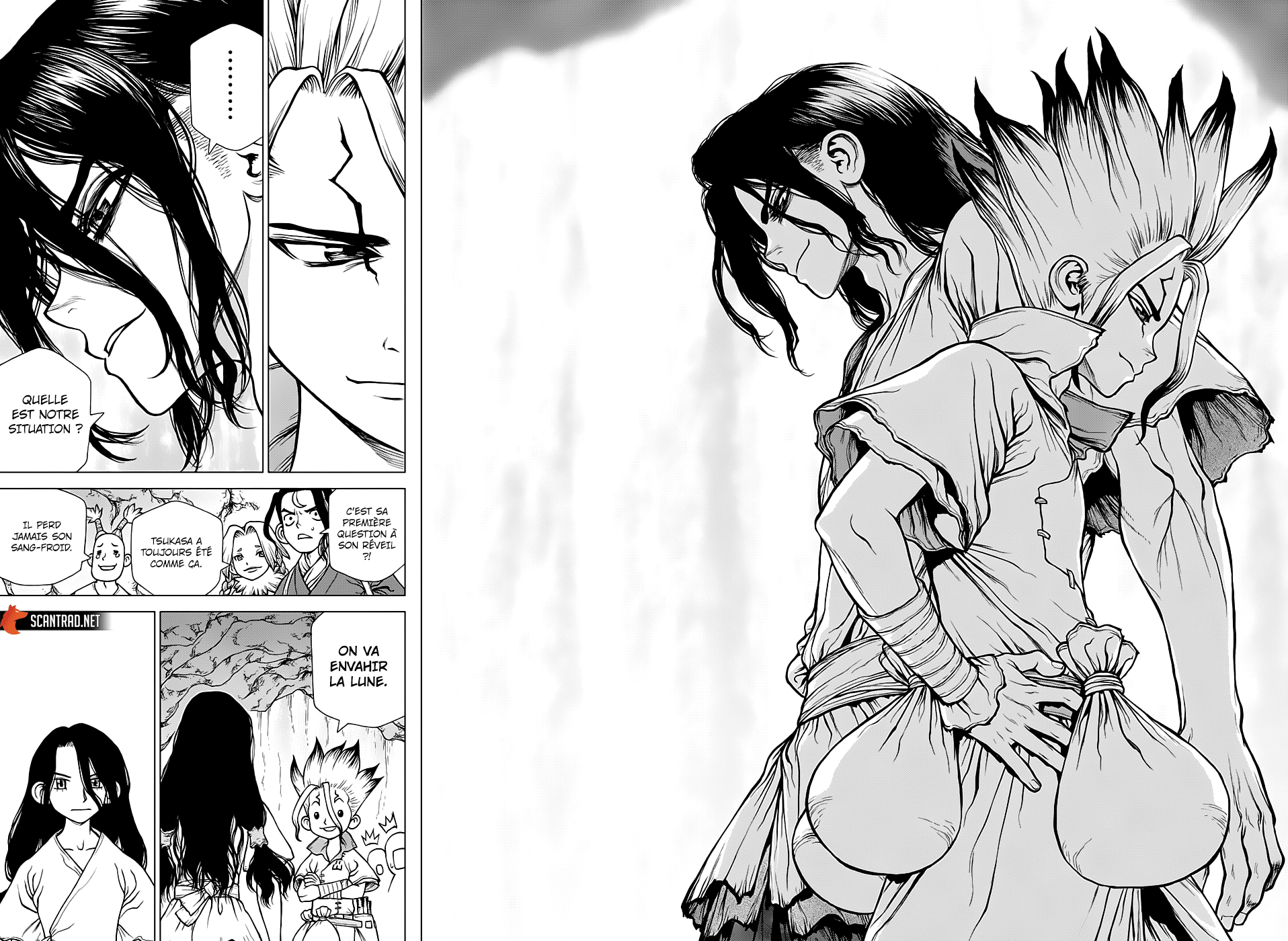 Read Dr. Stone FR Manga Online