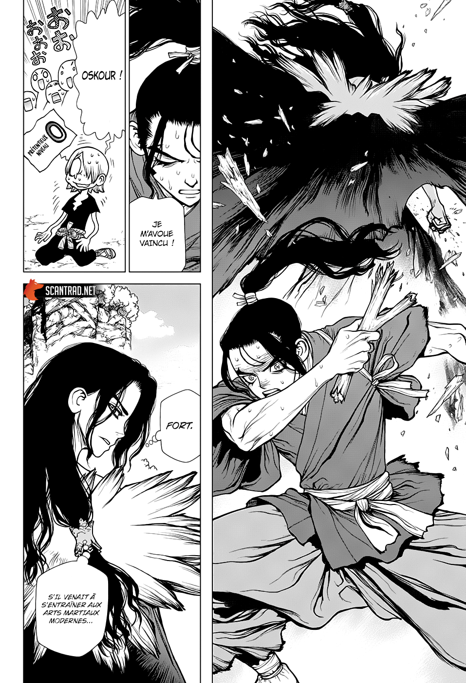 Read Dr. Stone FR Manga Online