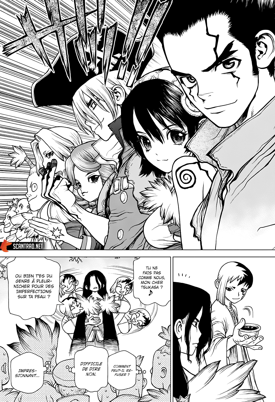 Read Dr. Stone FR Manga Online