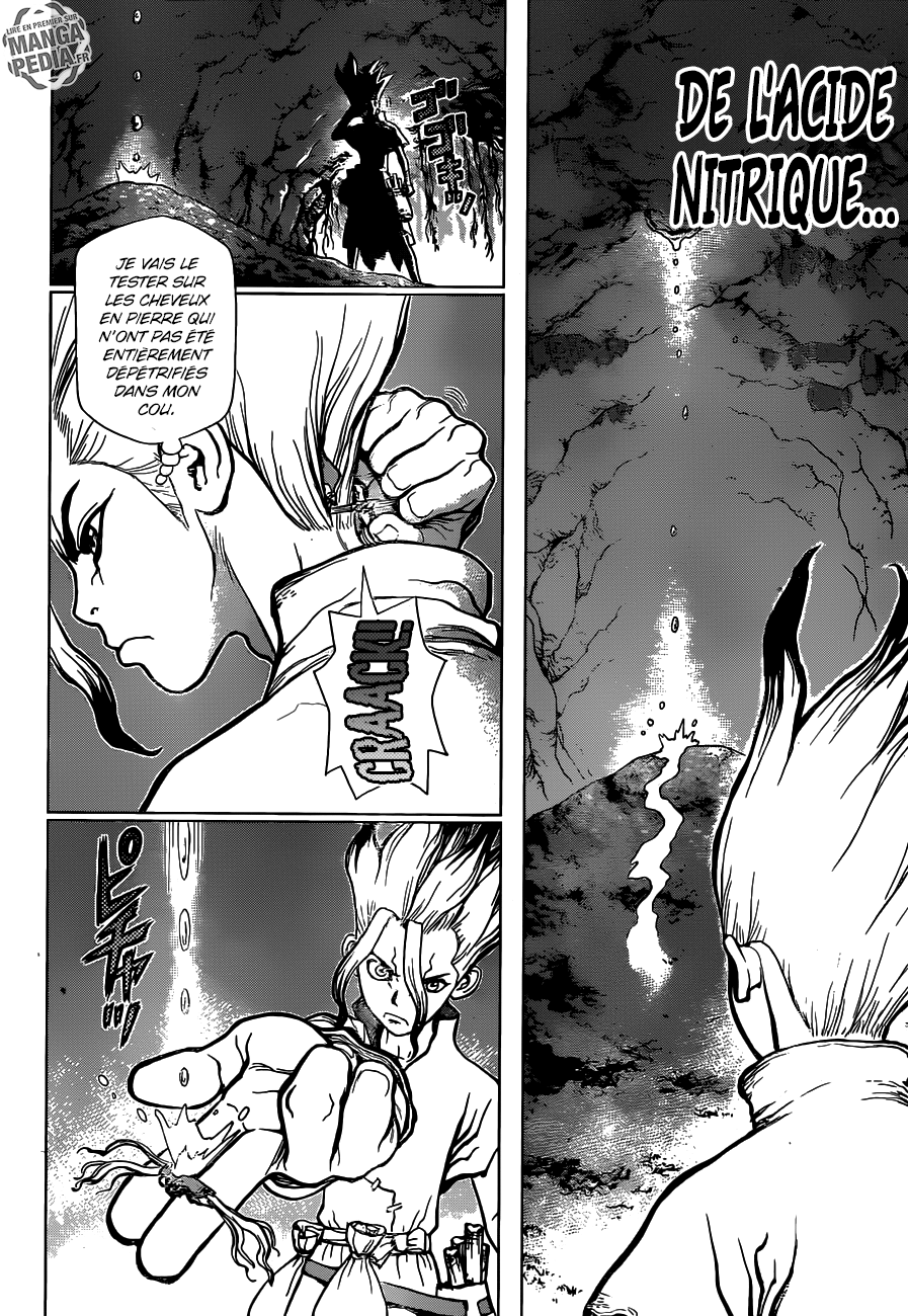 Read Dr. Stone FR Manga Online