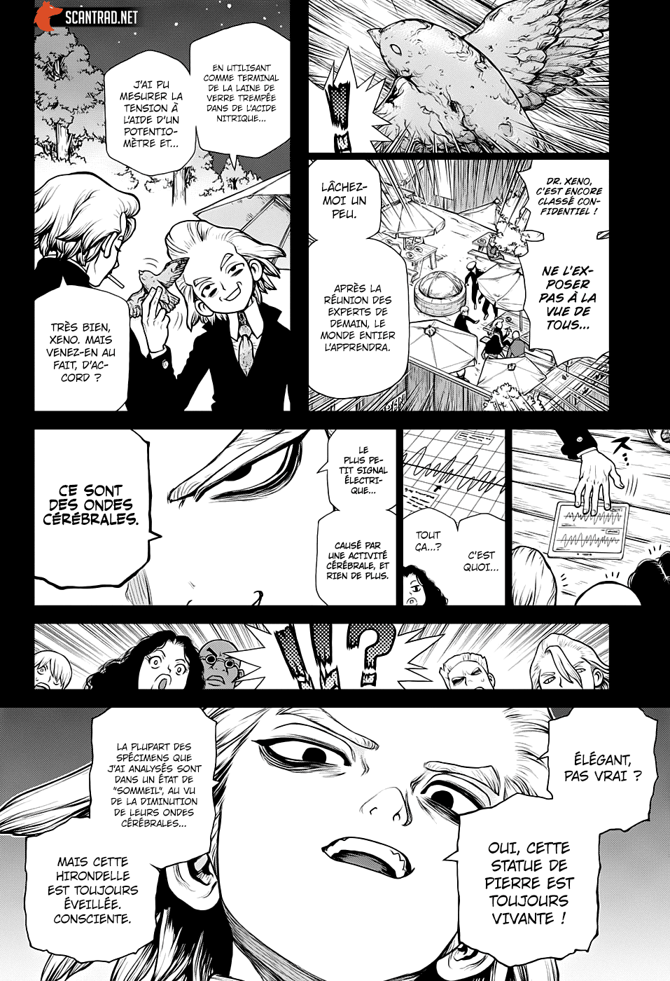 Read Dr. Stone FR Manga Online