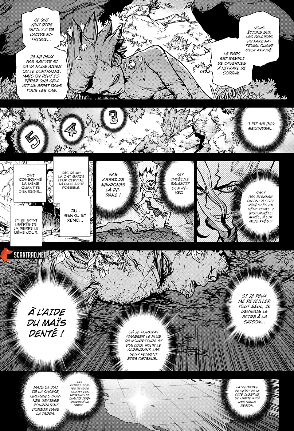 Read Dr. Stone FR Manga Online