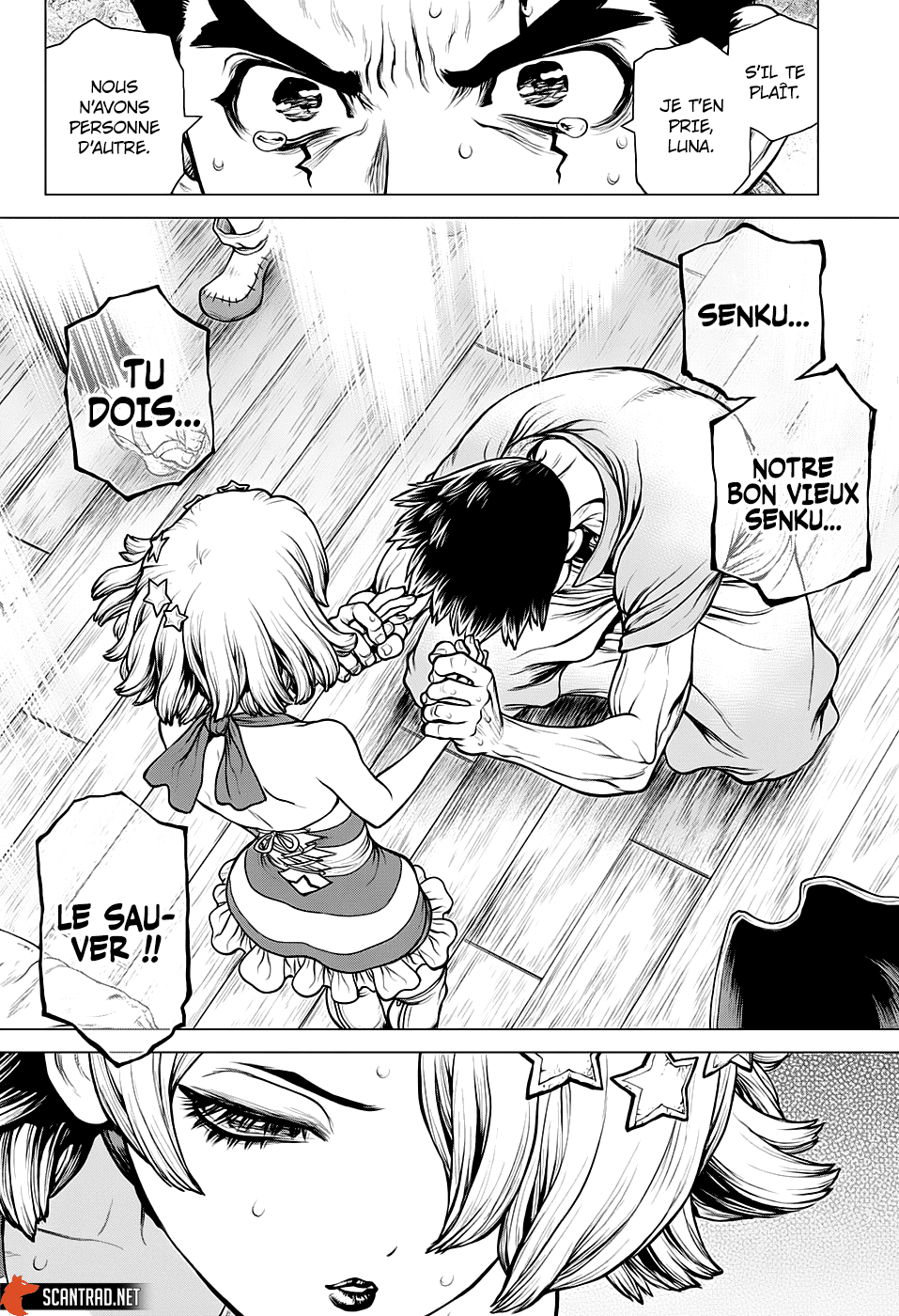 Read Dr. Stone FR Manga Online